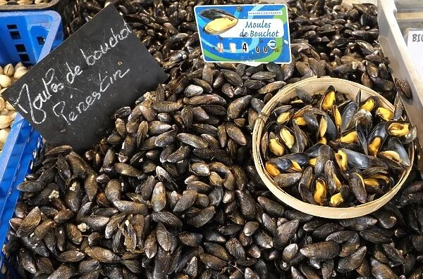 Moules de Bouchot mussels on fish market stall, Manche, Basse-Normandie, Normandy, France, October