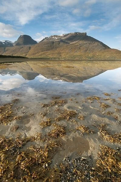 Mountains reflected in fjord during low tide at sunrise, Skibotn, Lyngen Fjord, Troms County, Lapland, North Norway