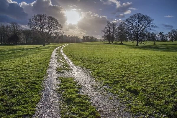 Muddy track through parkland, Leagram, Chipping, Lancashire, England, December