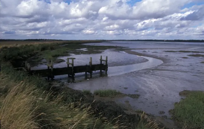 Framed Print : Mudflats Out flow from Pump house on Iken Marsh - Alde Mudflats - Suffolk Wildlife Trust Framed Print : Mudflats Out flow from Pump house on Iken Marsh - Alde Mudflats - Suffolk Wildlife Trust