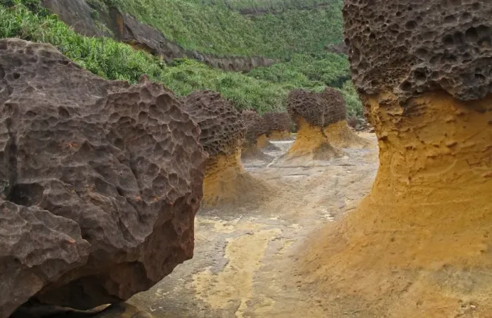 Framed Print : Mushroom Rock formations with honeycombed top, eroded coastal rocks on wave-cut platform, Yehliu Geopark