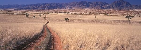 Namibia Bushman grass covered sand dunes with Naukluft Mountains - Namibia