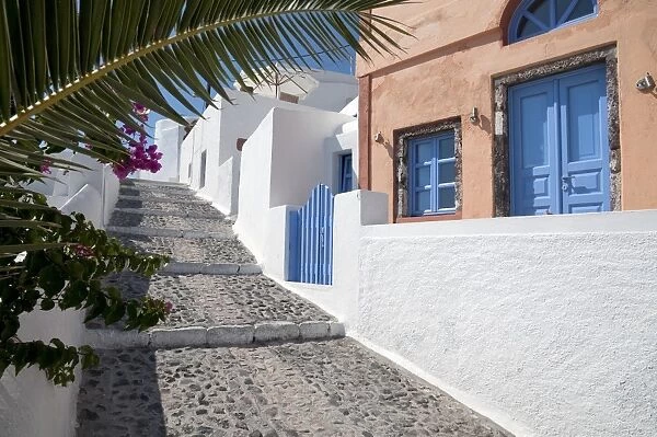 Narrow street with steps and painted houses, Oia, Santorini, Cyclades, Aegean Sea, Greece, September