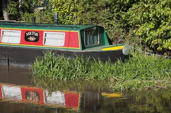Narrowboat moored at canal bank, Shropshire Union Canal, Beeston, Tarporley, Cheshire, England, october