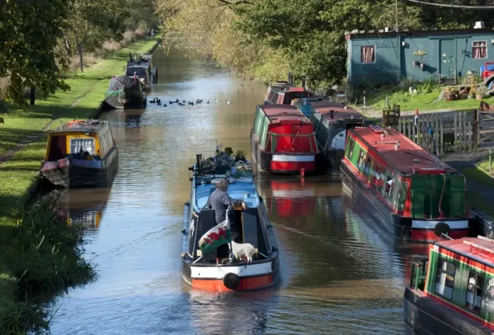 Framed Print : Narrowboats on canal, Shropshire Union Canal, Beeston, Tarporley, Cheshire, England, october Framed Print : Narrowboats on canal, Shropshire Union Canal, Beeston, Tarporley, Cheshire, England, october