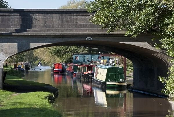 Narrowboats on moored on canal bank, Canal Bridge 107, Shropshire Union Canal, Beeston, Tarporley, Cheshire, England