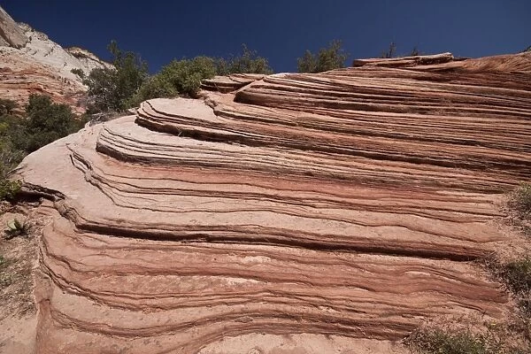 Navajo Sandstone is a wide spread geologic formation across the south west United States