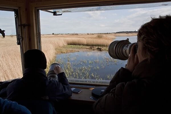 The New Island Mere hide at RSPB Minsmere, bird photographs photographing bittern well hidden in reed beds