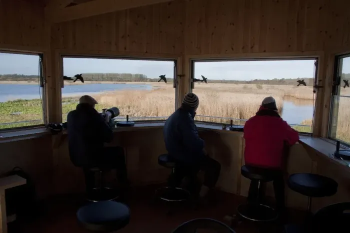 Framed Print : The New Island Mere hide at RSPB Minsmere, people looking west over reed beds Framed Print : The New Island Mere hide at RSPB Minsmere, people looking west over reed beds