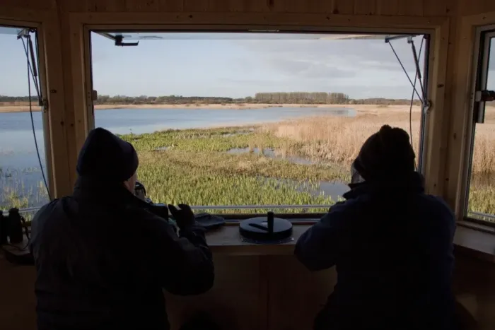Framed Print : The New Island Mere hide at RSPB Minsmere, birdwatchers looking west over reed beds Framed Print : The New Island Mere hide at RSPB Minsmere, birdwatchers looking west over reed beds
