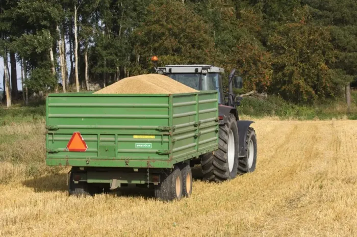 Framed Print : Oat (Avena sativa) crop, tractor with trailer full of harvested grain, in stubble field, Sweden Framed Print : Oat (Avena sativa) crop, tractor with trailer full of harvested grain, in stubble field, Sweden