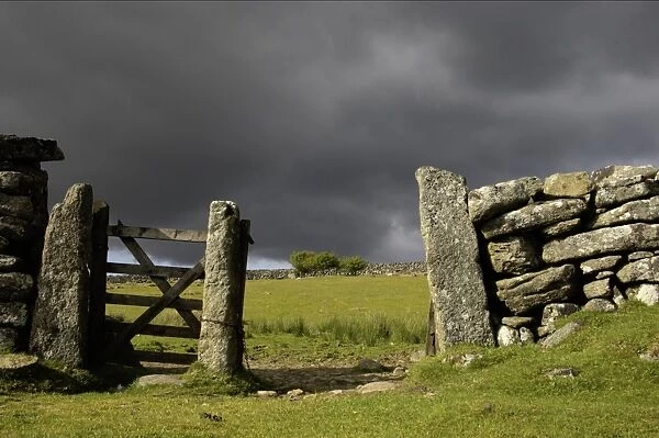 Old gate in drystone wall, with approaching stormclouds, Dartmoor N. P. Devon, England