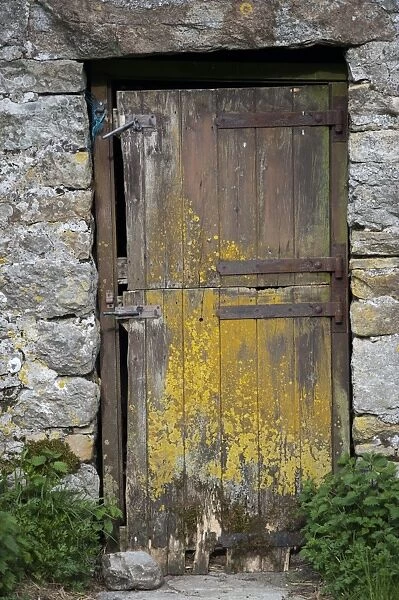 Old wooden barn door, Cumbria, England, June