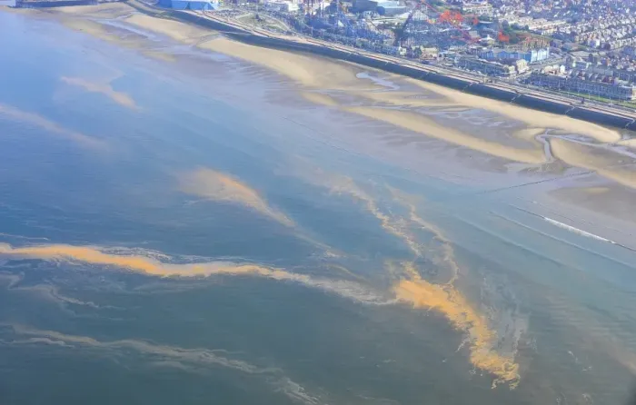 Framed Print : Orange Algae, aerial view of bloom floating on surface of sea, Morecambe Bay, Blackpool, Lancashire, England, August Framed Print : Orange Algae, aerial view of bloom floating on surface of sea, Morecambe Bay, Blackpool, Lancashire, England, August