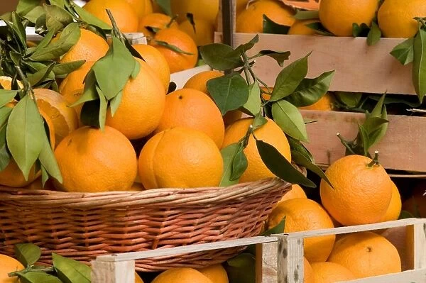 Orange (Citrus sinensis) fruit, for sale on market stall, on market stall, Turin, Piedmont, Italy, march