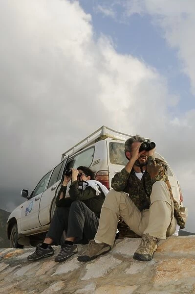 Ornithologists with binoculars, surveying birds along road, Socotra, Yemen, december