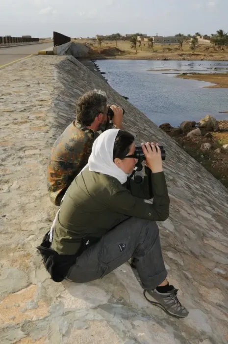 Framed Print : Ornithologists with binoculars, surveying birds in wadi along road, Socotra, Yemen, december Framed Print : Ornithologists with binoculars, surveying birds in wadi along road, Socotra, Yemen, december
