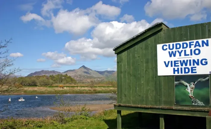 Framed Print : Osprey (Pandion haliaetus) viewing hide at nestsite, with bilingual sign, RSPB Glaslyn Osprey Project, Pont Croesor Framed Print : Osprey (Pandion haliaetus) viewing hide at nestsite, with bilingual sign, RSPB Glaslyn Osprey Project, Pont Croesor