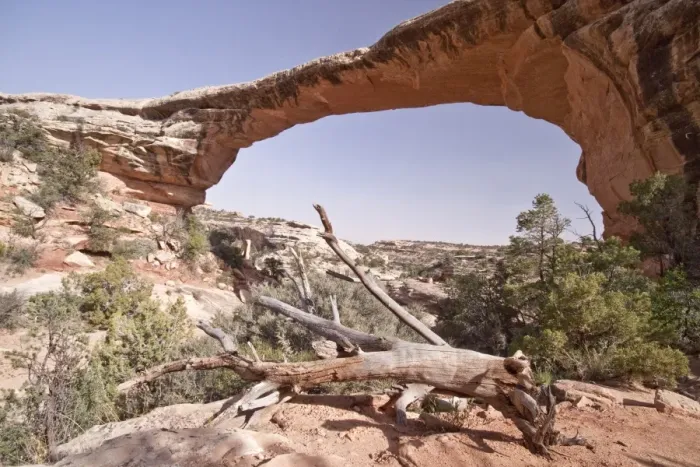 Framed Print : Owachomo Bridge at Natural Bridges National Monument, which is in southeast Utah, America