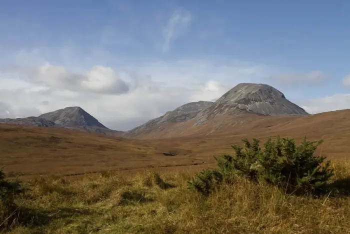 Framed Print : The paps of Jura with gorse bush in forground Framed Print : The paps of Jura with gorse bush in forground