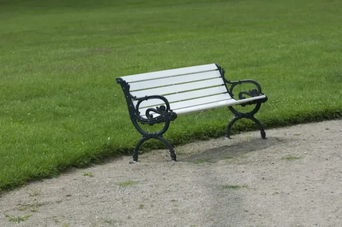 Framed Print : Park bench at edge of lawn, Sweden, june Framed Print : Park bench at edge of lawn, Sweden, june