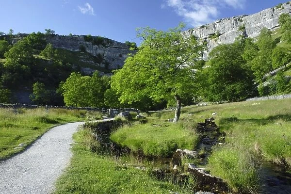Path and beck leading to limestone cliff, Malham Cove, Malhamdale, Yorkshire Dales N. P