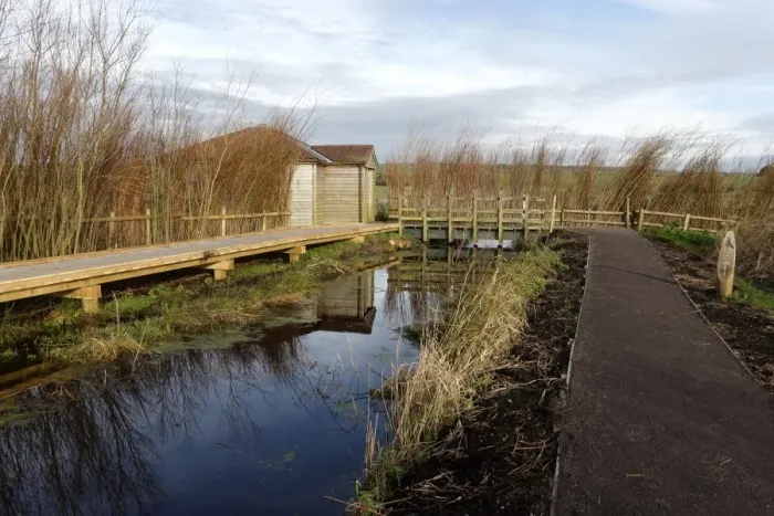 Framed Print : Path, boardwalk and birdwatching hide in floodplain grassland and wetland habitat, Greylake RSPB Reserve Framed Print : Path, boardwalk and birdwatching hide in floodplain grassland and wetland habitat, Greylake RSPB Reserve