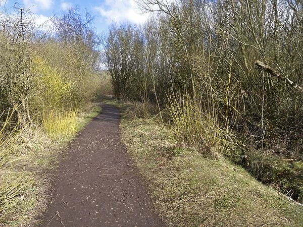 Path through deciduous woodland habitat, Sandwell Valley RSPB Reserve, West Midlands, England, April