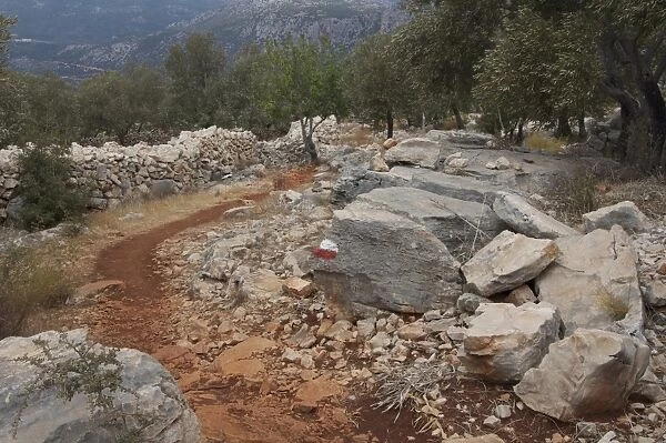 Path beside rocks and drystone wall, The Lycian Way, near Kas, Antalya Province, Turkey, october
