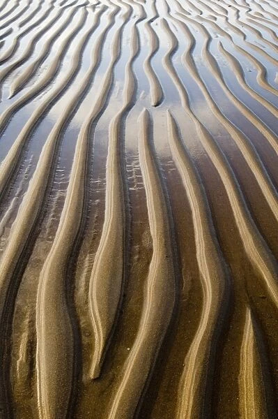 Patterns on wet sandy beach at low tide, Northumberland, England, july