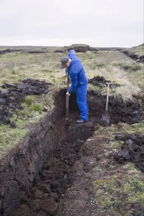 Framed Print : Peat cuttings, islander cutting seam through peat, Mainland, Shetland Islands, Scotland, june