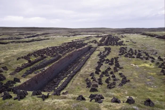 Framed Print : Peat cuttings, seam cut through peat, Mainland, Shetland Islands, Scotland, june Framed Print : Peat cuttings, seam cut through peat, Mainland, Shetland Islands, Scotland, june