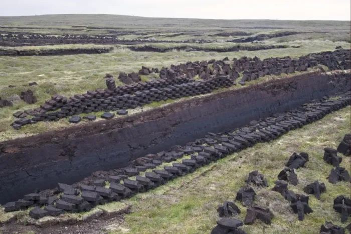 Framed Print : Peat cuttings, seam cut through peat, Mainland, Shetland Islands, Scotland, june