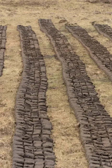 Framed Print : Peat extraction, cut turves drying on moor, North Uist, Outer Hebrides, Scotland, May