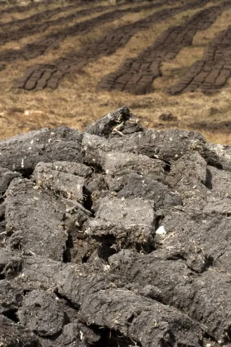 Framed Print : Peat extraction, dried cut turves on moor, North Uist, Outer Hebrides, Scotland, May Framed Print : Peat extraction, dried cut turves on moor, North Uist, Outer Hebrides, Scotland, May