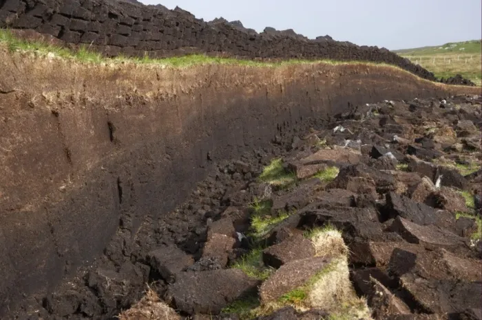 Framed Print : Peat extraction, seam cut through bog with recently cut blocks, Unst, Shetland Islands, Scotland