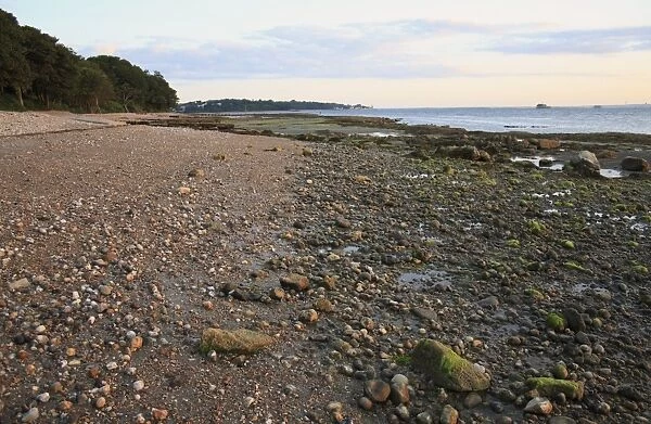 Pebbles and rocks exposed on beach with incoming tide at dawn, Bembridge, Isle of Wight, England, june