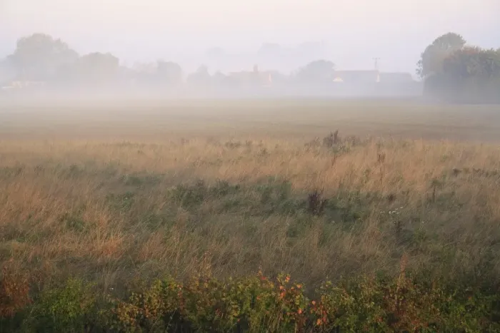 Framed Print : Permanent set-a-side and cultivated arable field in mist at dawn, Bacton, Suffolk, England, september Framed Print : Permanent set-a-side and cultivated arable field in mist at dawn, Bacton, Suffolk, England, september