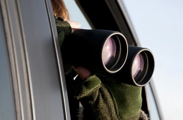 Person looking at wildlife through binoculars from inside car, Norfolk, England, december