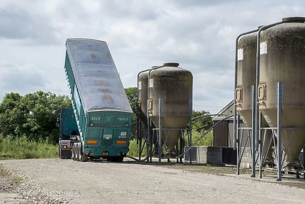 Pig farming, BOCM Pauls lorry delivering feed to storage bins on pig farm, Driffield, East Yorkshire, England, June