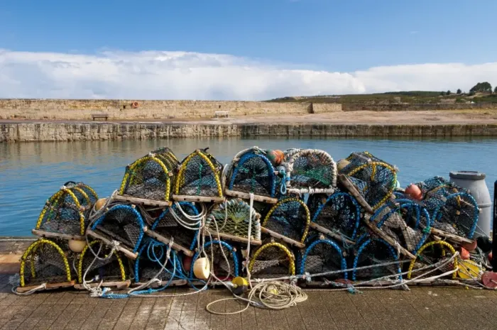 Framed Print : Pile of lobster pots stacked on quayside, Hopeman Harbour, Morayshire, Scotland, March Framed Print : Pile of lobster pots stacked on quayside, Hopeman Harbour, Morayshire, Scotland, March