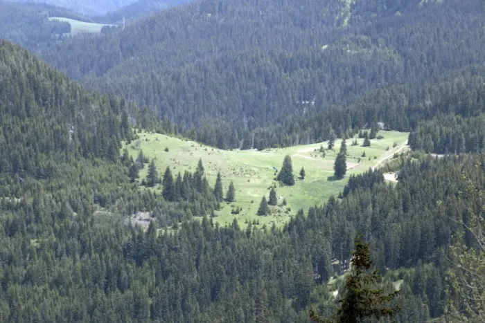 Framed Print : Pine forest and open glades in Rhodope mountains, Bulgaria