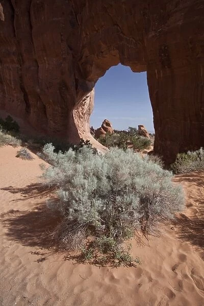 Pine tree Arch in Arches National Park, Utah. This arch is made from Entrada Sandstone which over time is eroded by