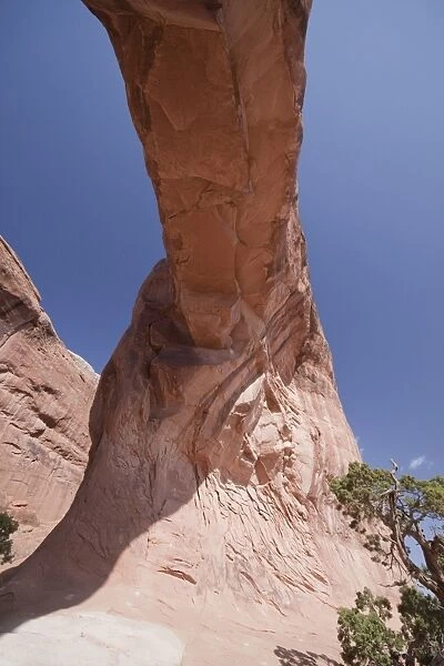 Pine tree Arch in Arches National Park, Utah. Looking up at the supporting arch
