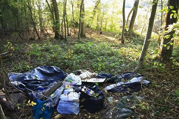 Plastic bags, bottles and cans discarded in woodland habitat, Northfield Wood, Onehouse, Suffolk, England, october