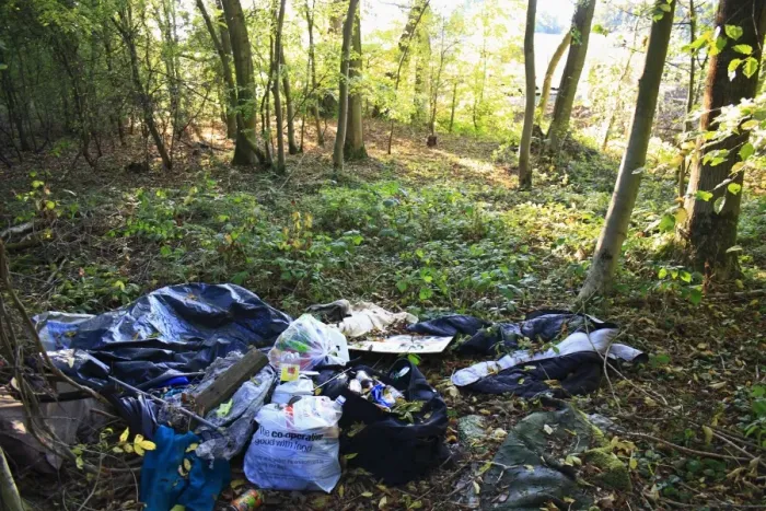 Framed Print : Plastic bags, bottles and cans discarded in woodland habitat, Northfield Wood, Onehouse, Suffolk, England, october Framed Print : Plastic bags, bottles and cans discarded in woodland habitat, Northfield Wood, Onehouse, Suffolk, England, october