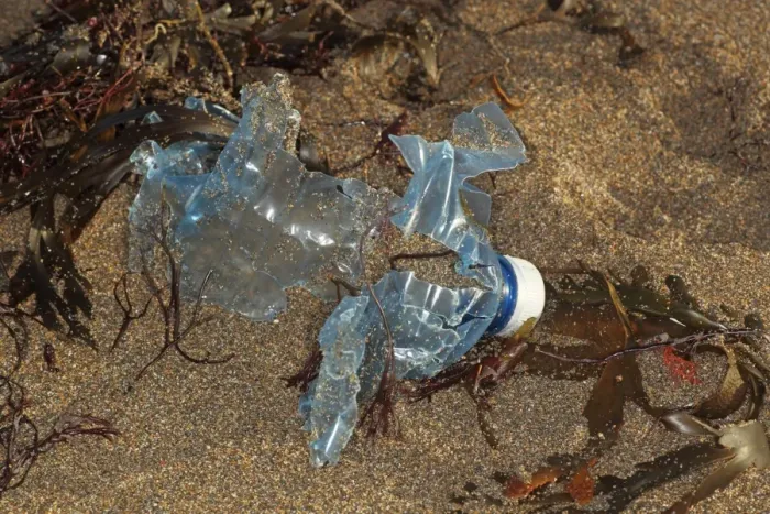 Framed Print : Plastic bottle breaking down on beach strandline, Bude, Cornwall, England, january Framed Print : Plastic bottle breaking down on beach strandline, Bude, Cornwall, England, january