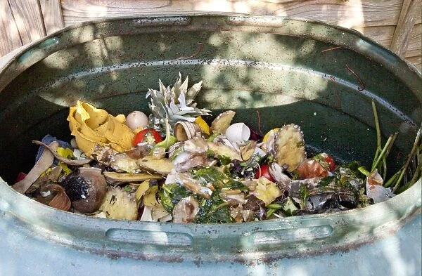 Plastic garden compost bin with rotting fruit and vegetable scraps, England, april
