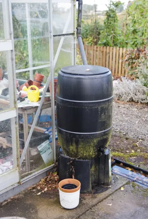 Framed Print : Plastic waterbutt for catching rainwater off greenhouse in a garden, Bouldon, Shropshire, England, september Framed Print : Plastic waterbutt for catching rainwater off greenhouse in a garden, Bouldon, Shropshire, England, september