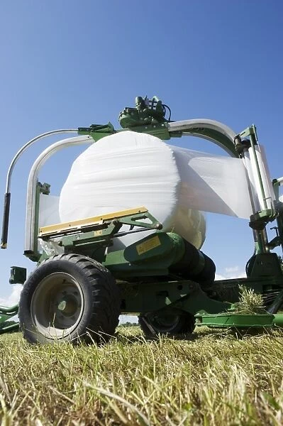 Plastic wrapped round silage bale, wrapped by mechanical bale-wrapper, Sweden, june